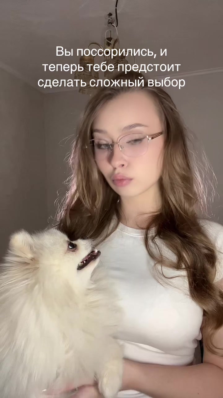@тгк: Котик в тележке