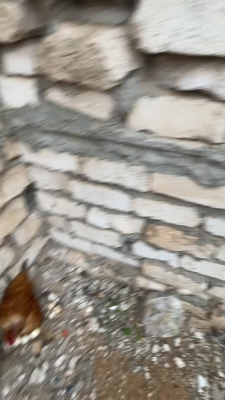 @sslinxxy