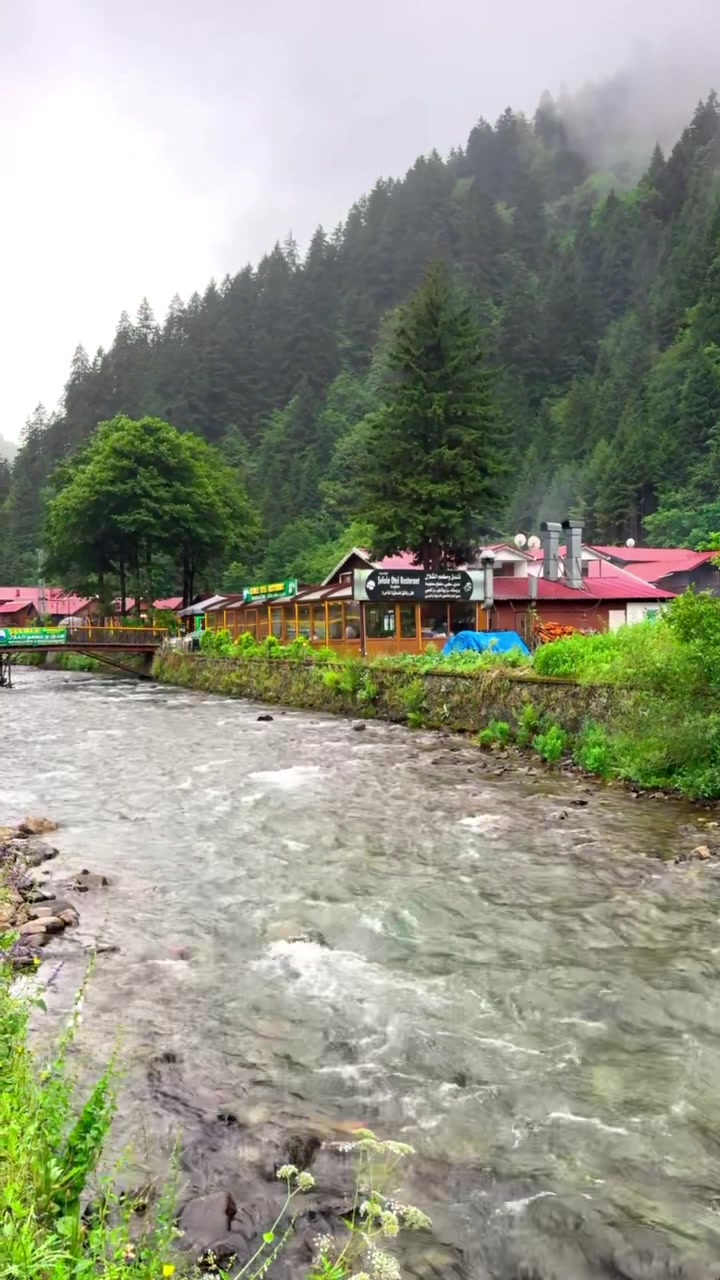 @mbashar_samur