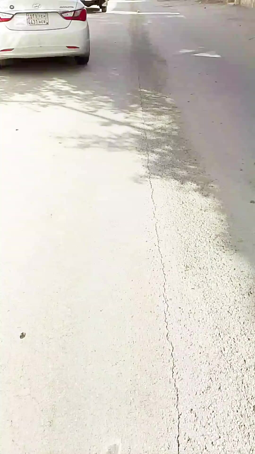 @নিশাত আহমেদ
