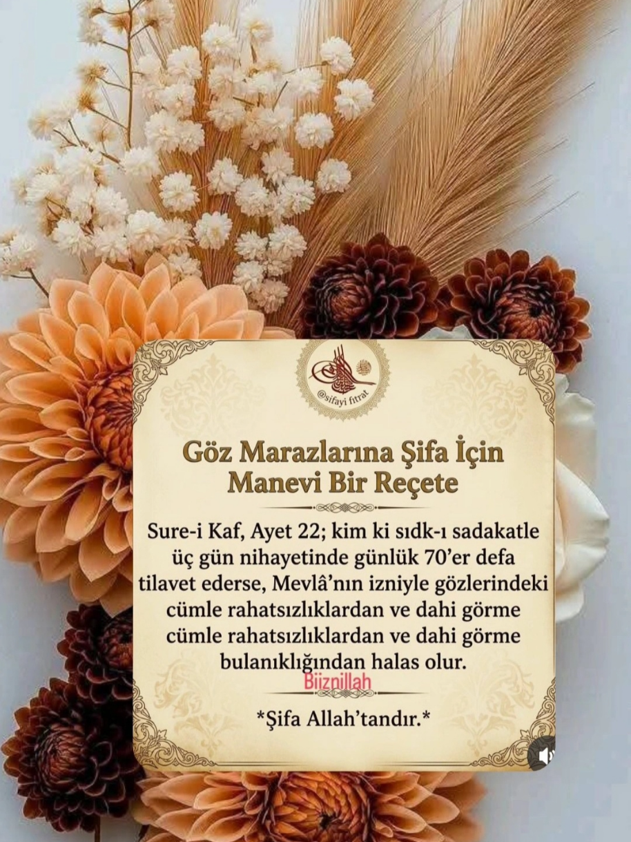 @hayat nereye gidiyor