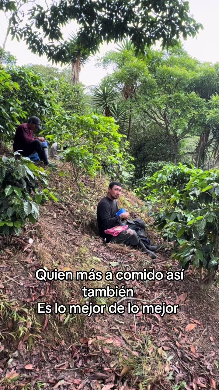 @Julio Chávez