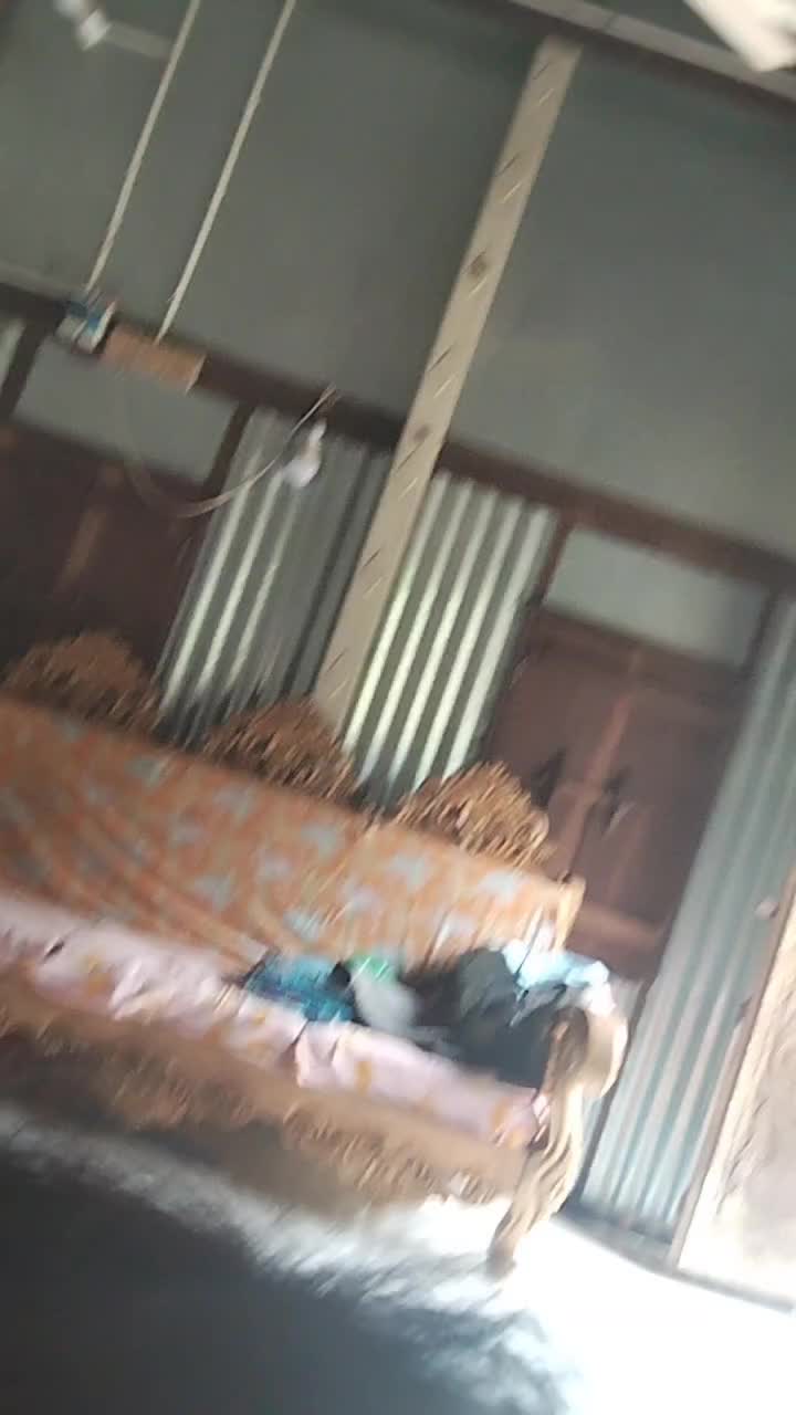 @RidoySardar12