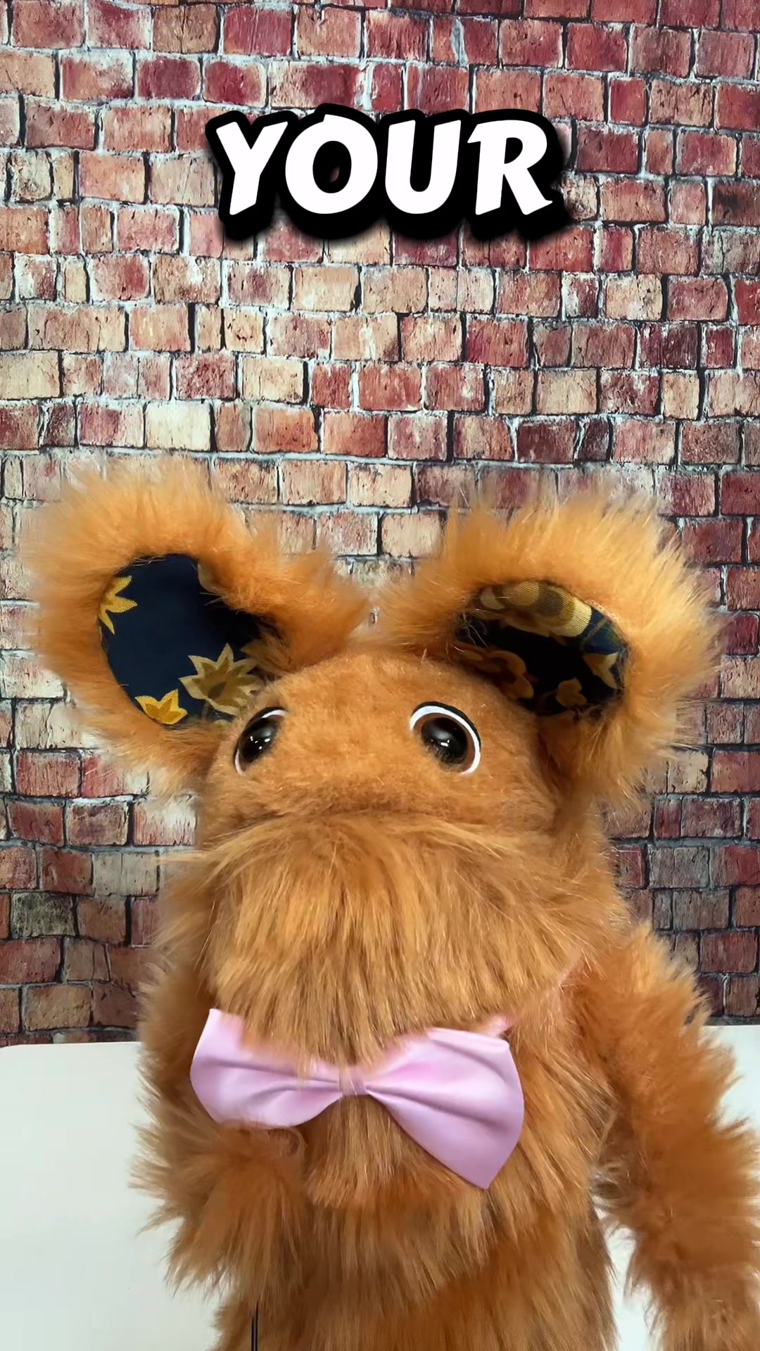 @PuppetTakeover