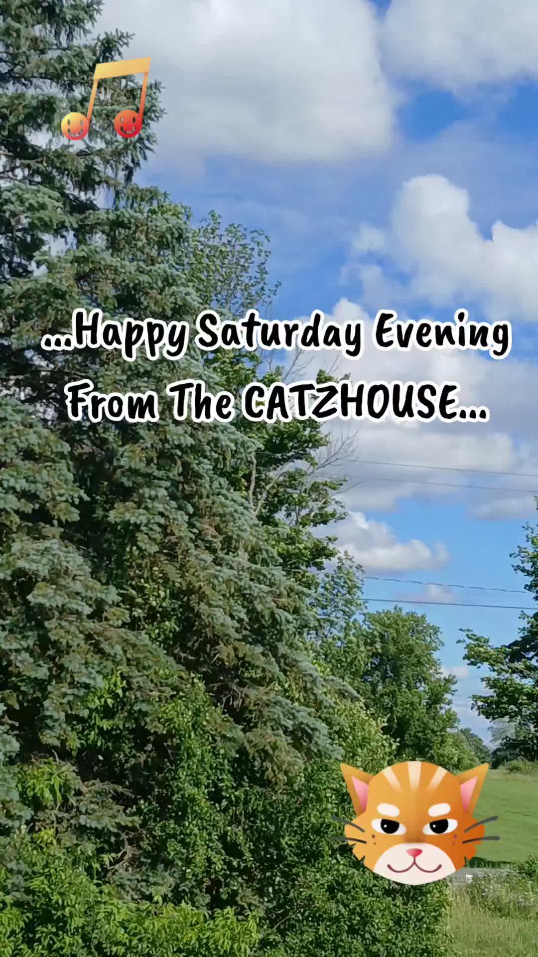 @Booh Hovey crazycatlady3