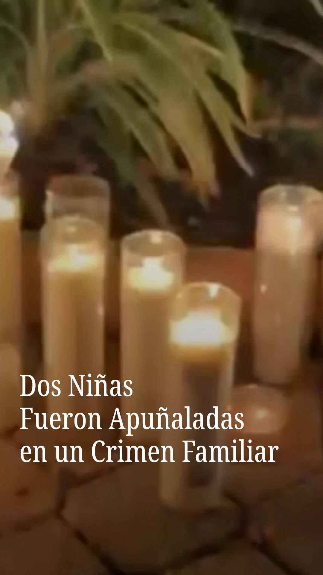 @N+ UNIVISION