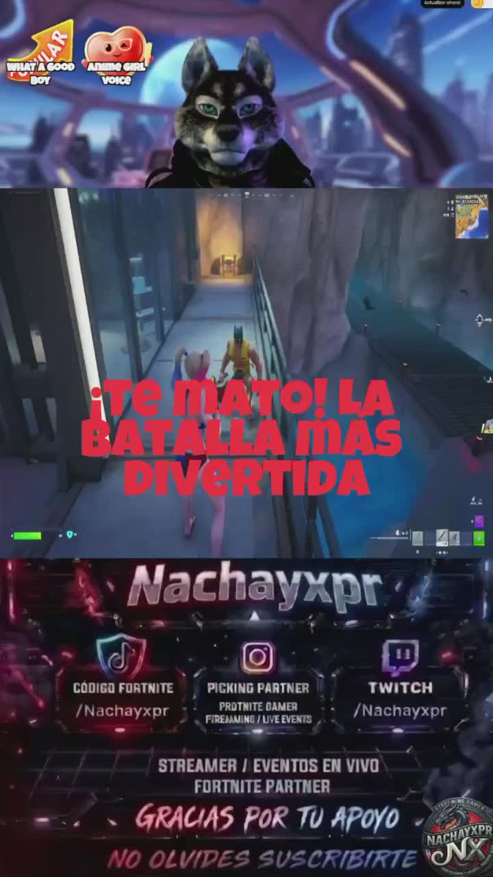 @nachayxpr