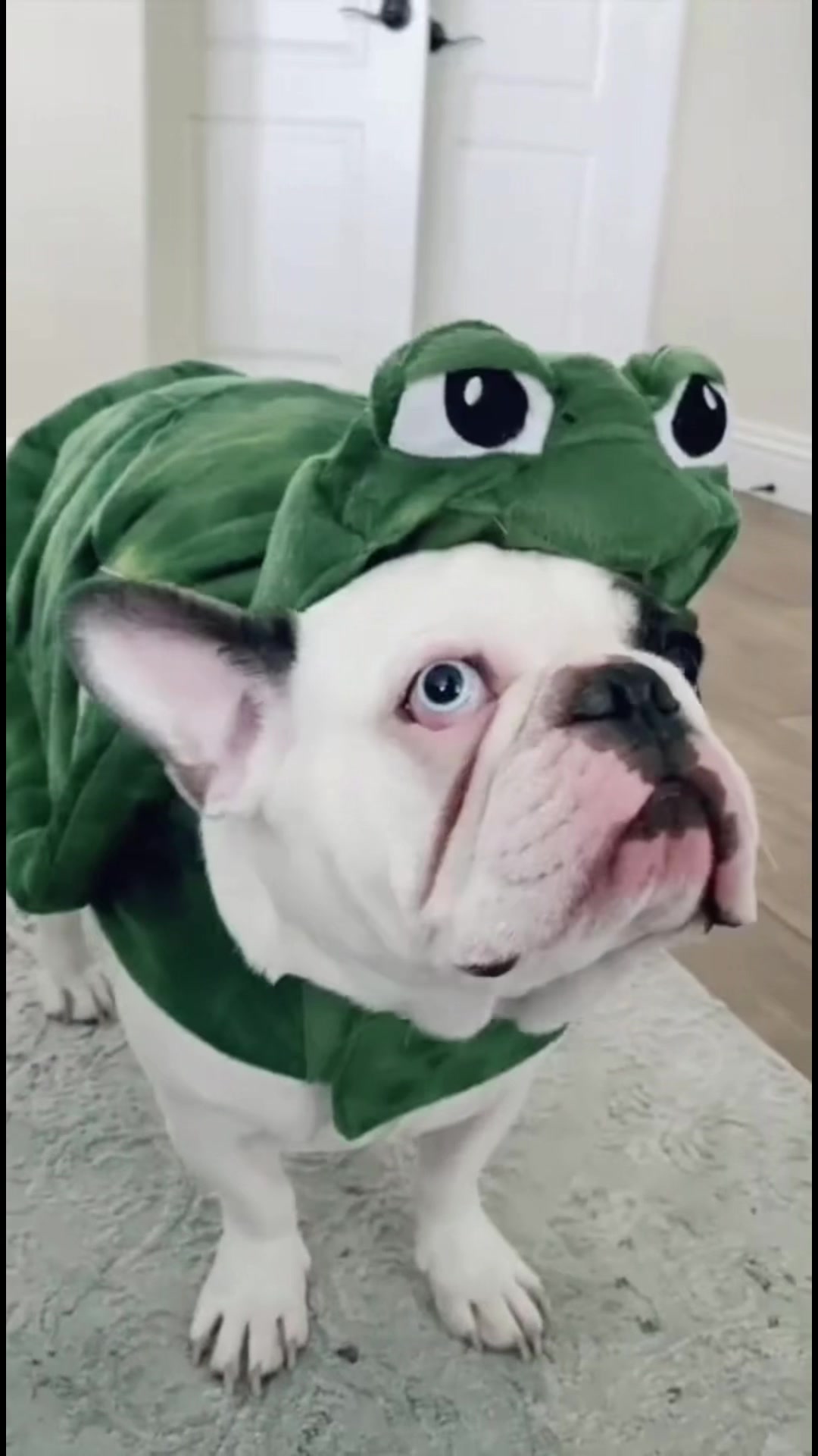@nanajeep