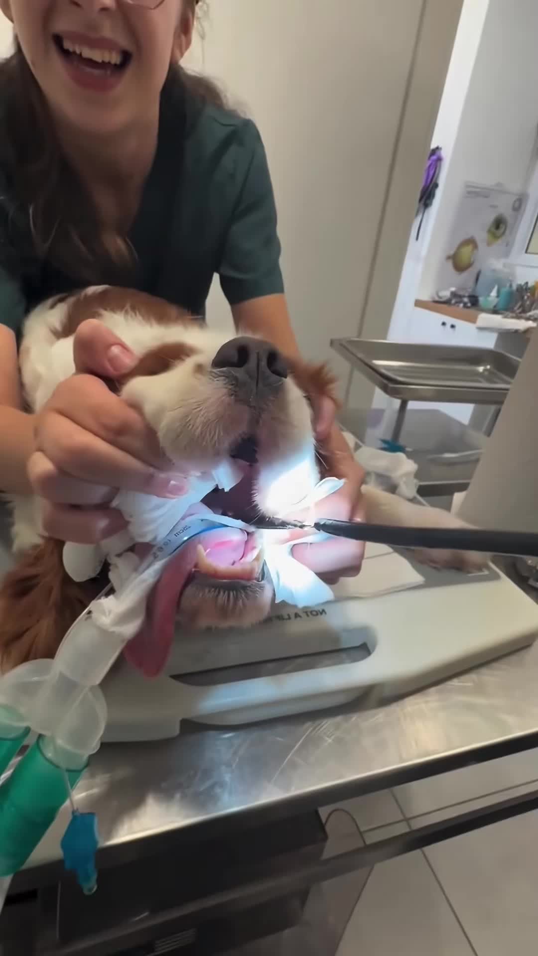 @cuteanimals472