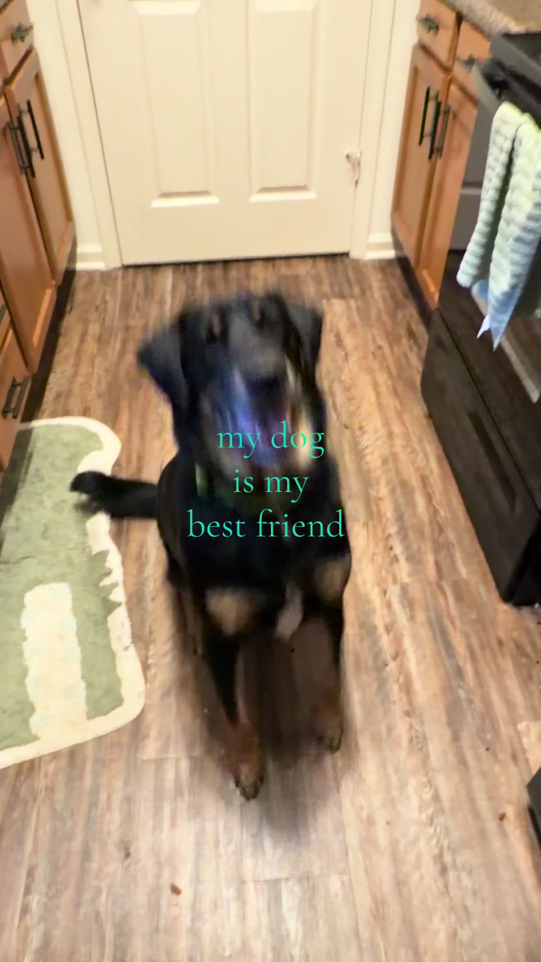 @bluey