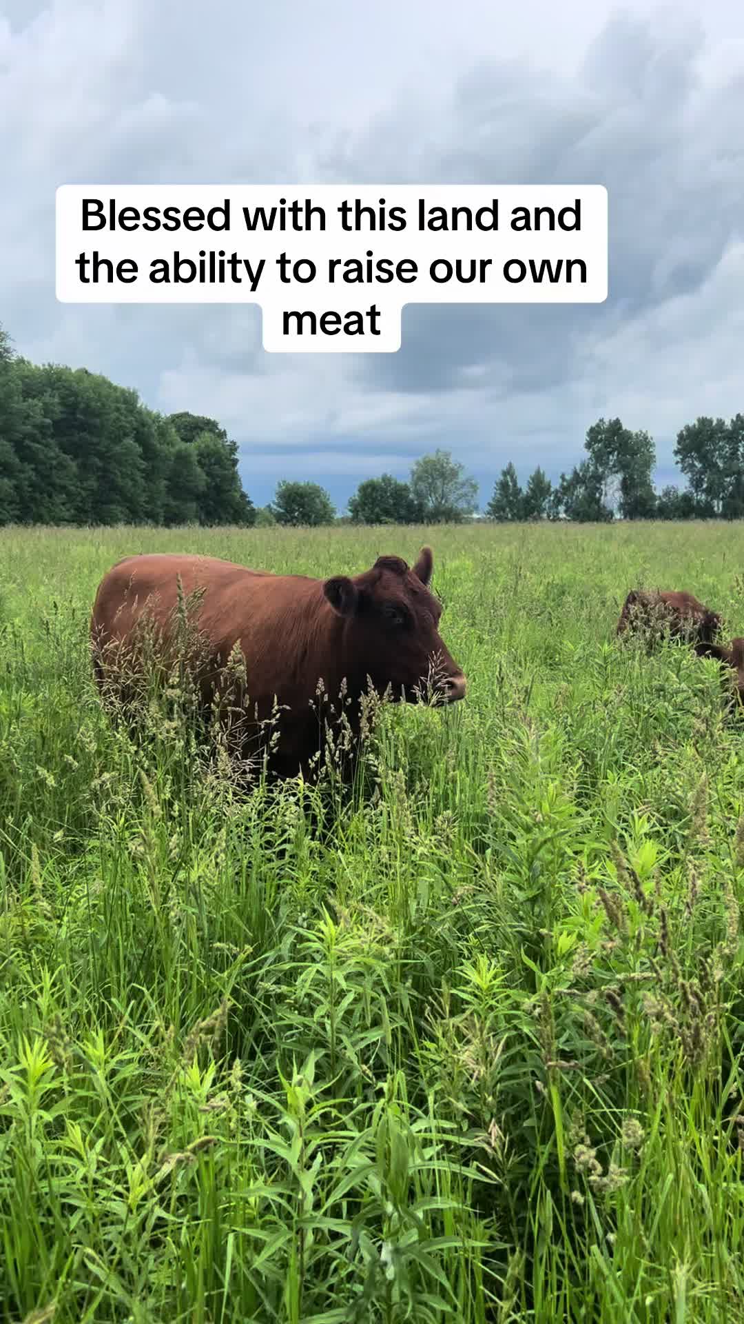 @littlesandycreekfarm