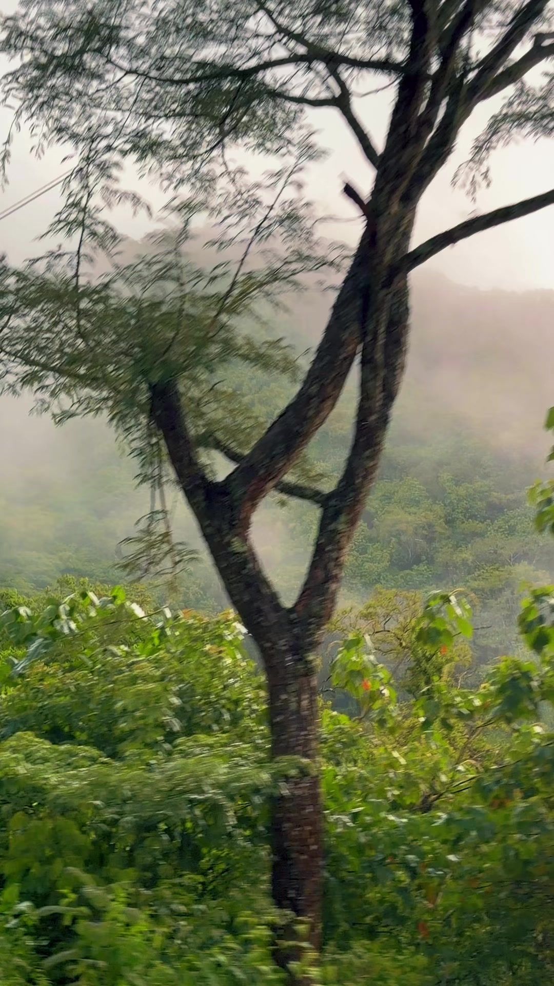 @Nature☘️🍀🍃🍁🌿