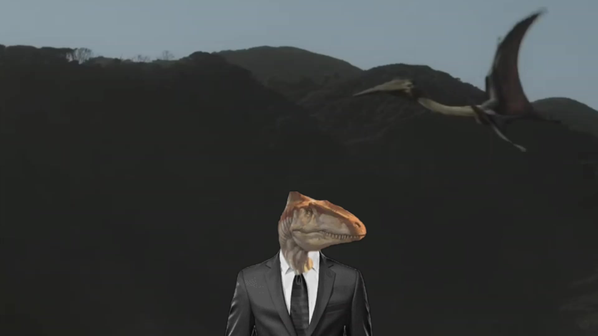 @Acrolog🦎🌱