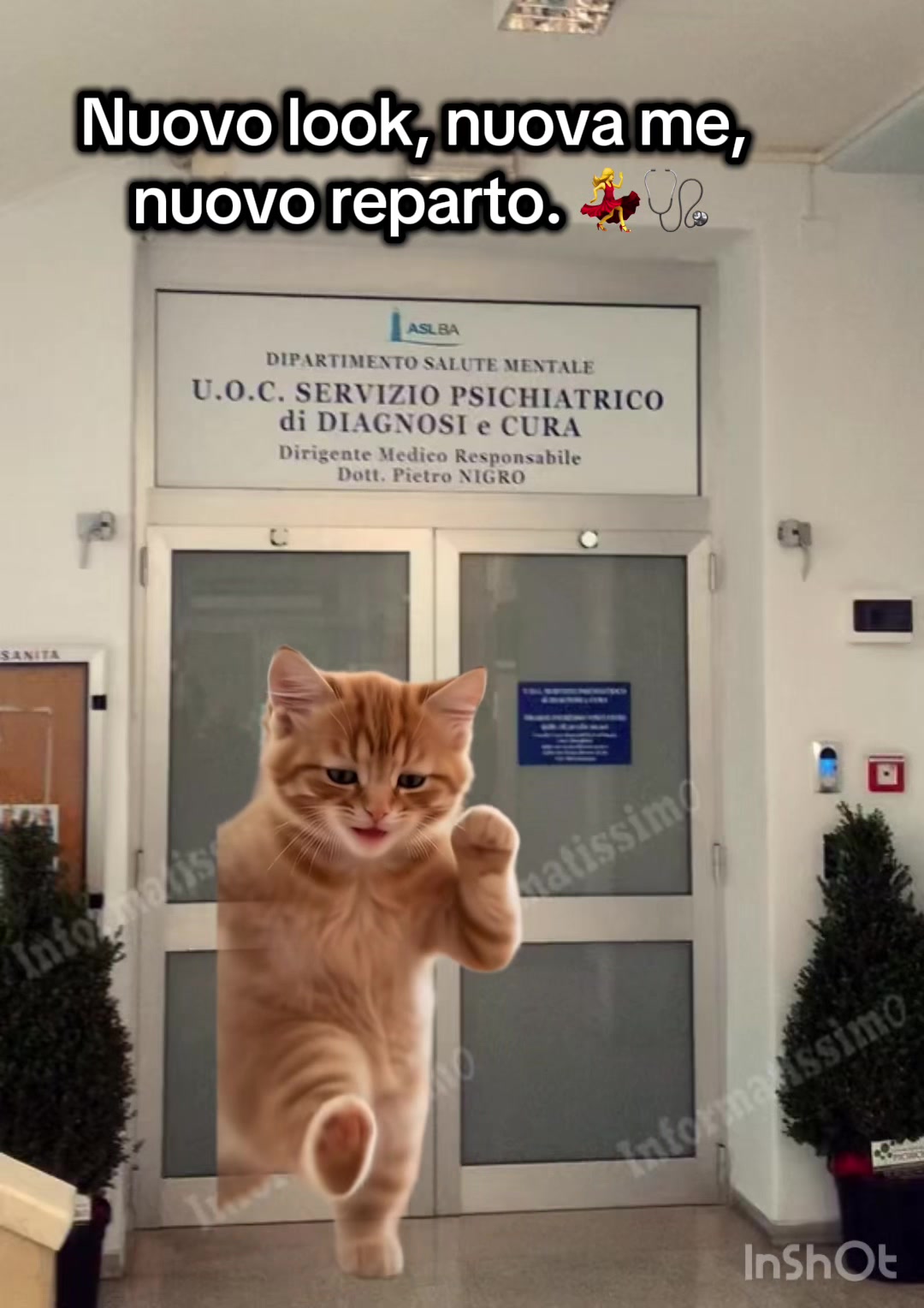 @antonellarizzo962
