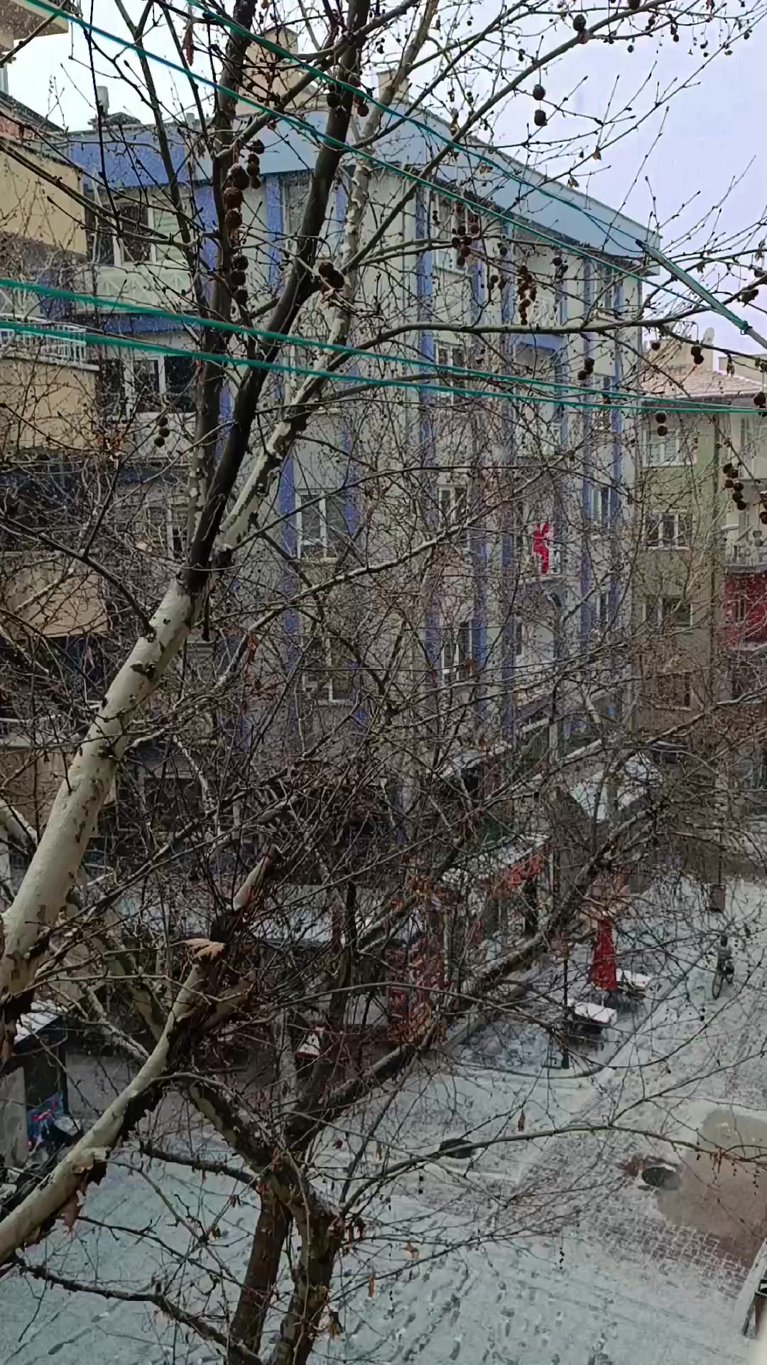 @&uuml;z&uuml;msu40