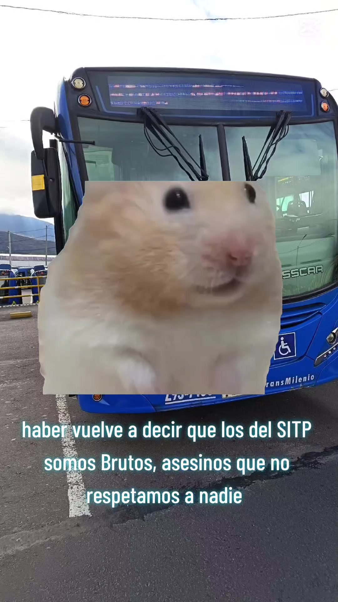 @Diego Ruiz