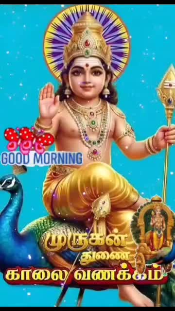 @Saraswathy k