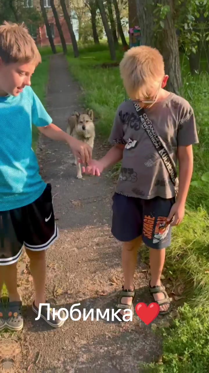 @🇷🇺Нᥲᴛᥲ᧘ья Бᥱδᥙɯᥱʙᥲ🤍💙❤🇷🇺