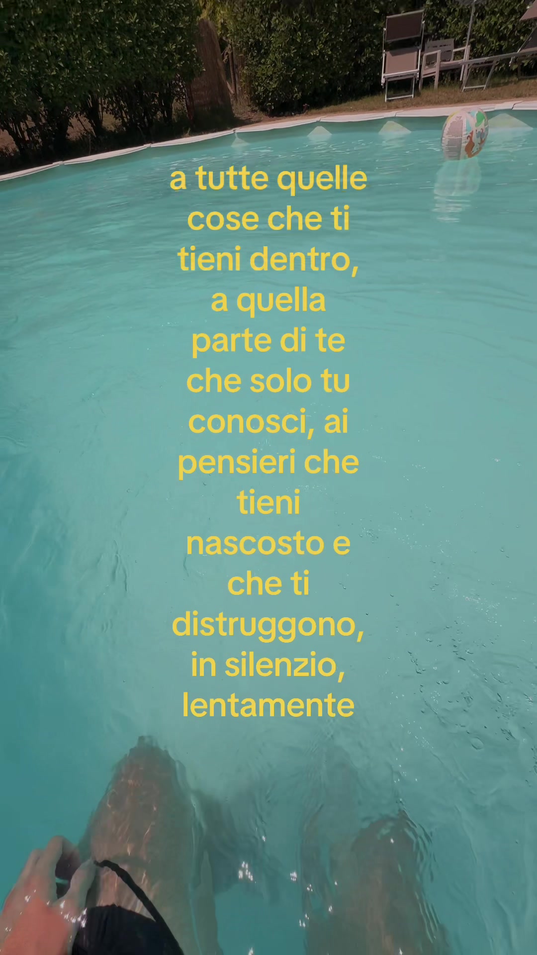 @davi