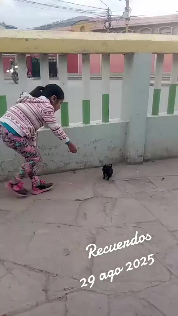 @Alexandra alanya