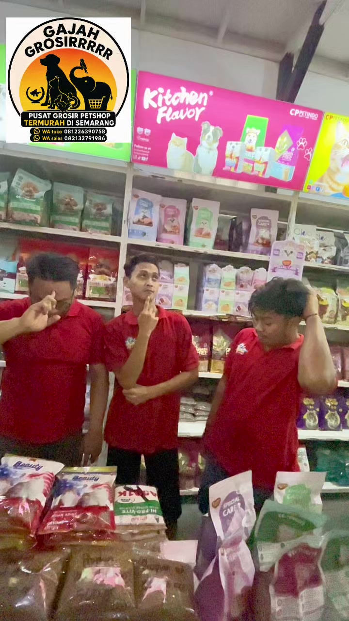 @Gajah Grosirrrrr
