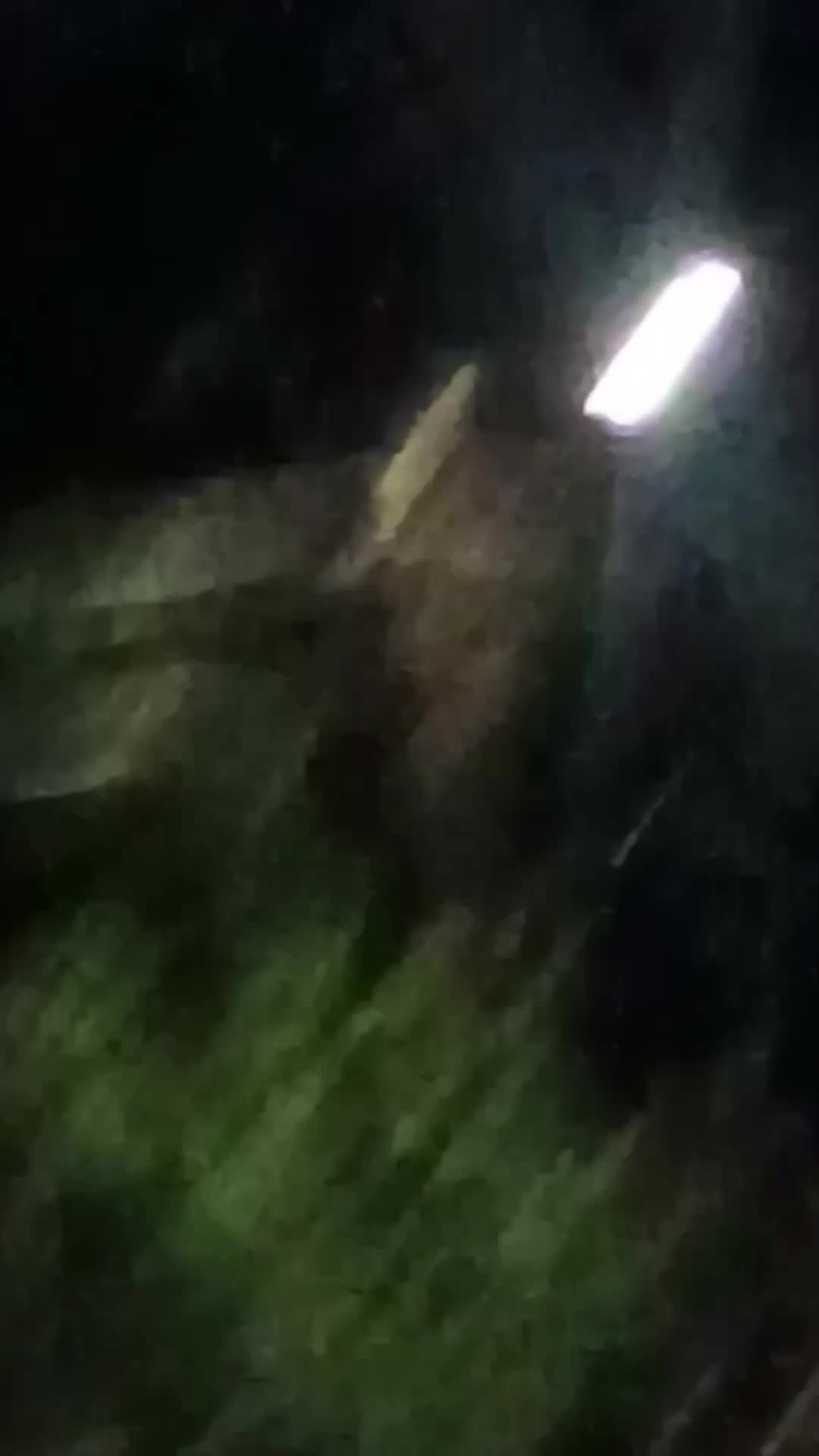 @Tuff Tyler Dudu mob fog prod
