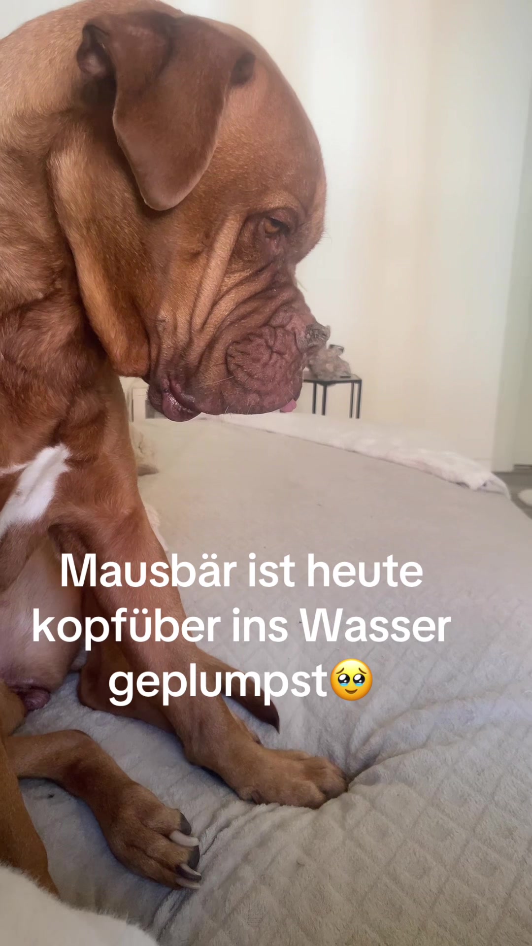 @Marleene🐶