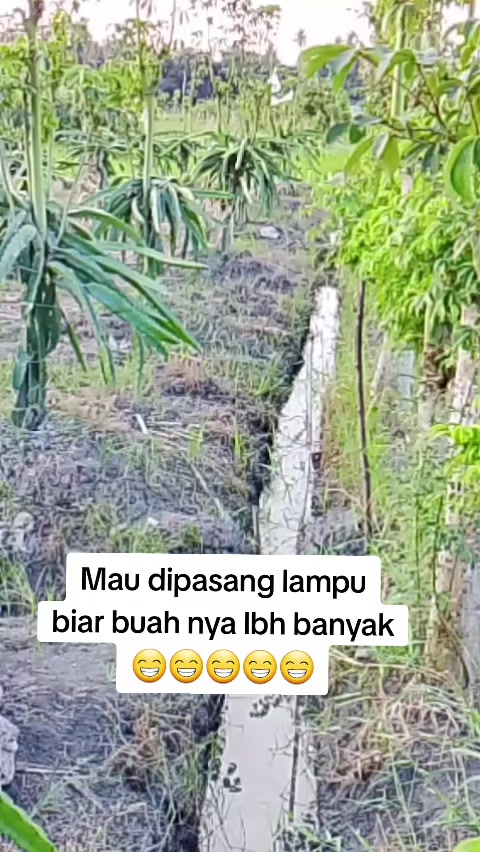@Dwi Yanie29