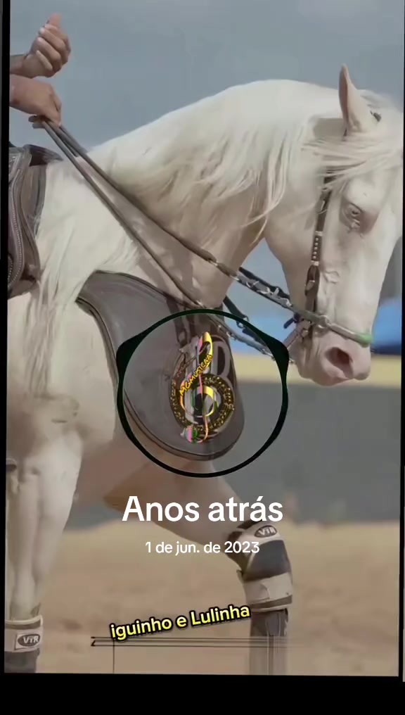 @M&aacute;rcio greyck