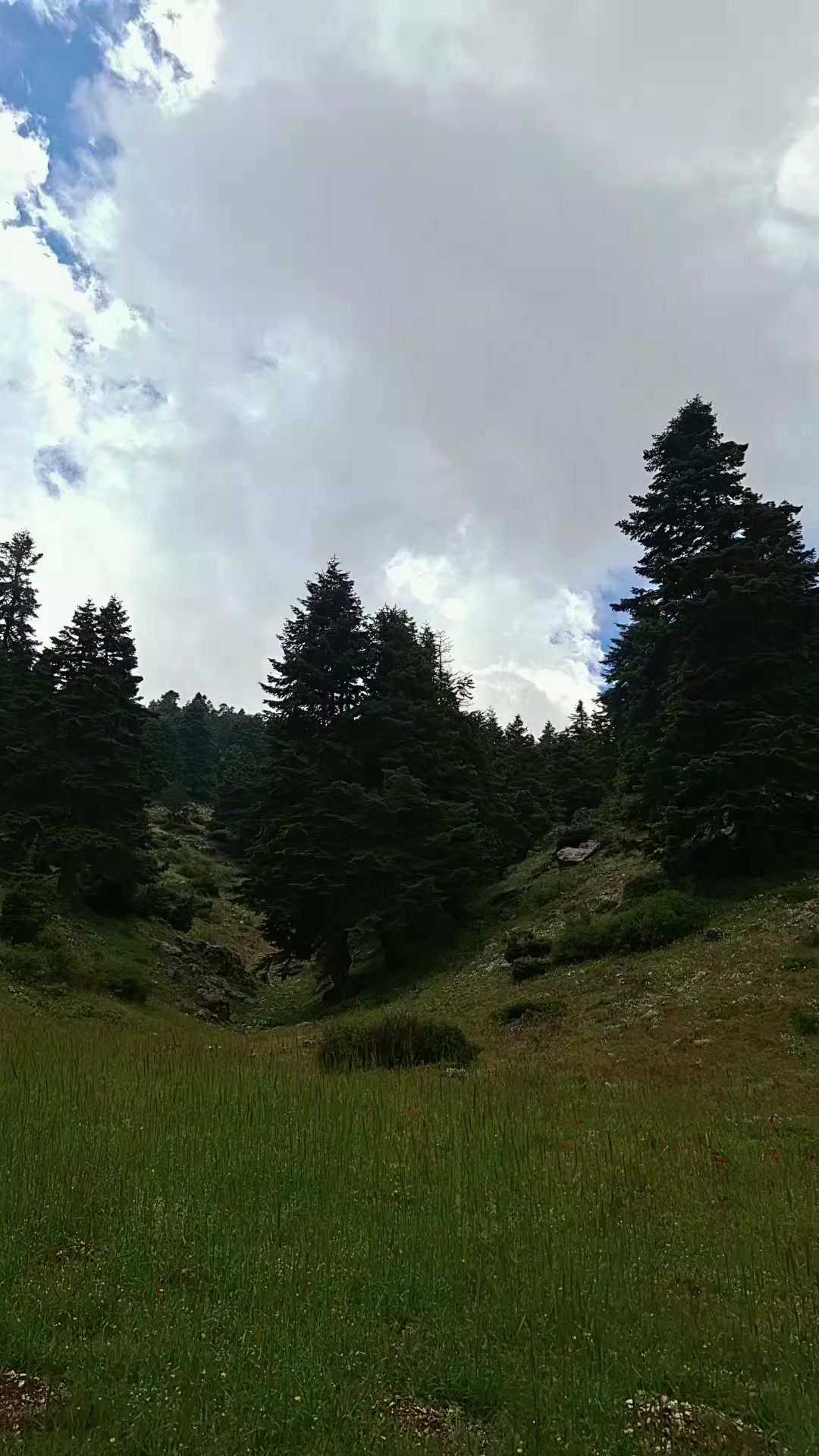 @Clauda Chahda@بنت لبنان