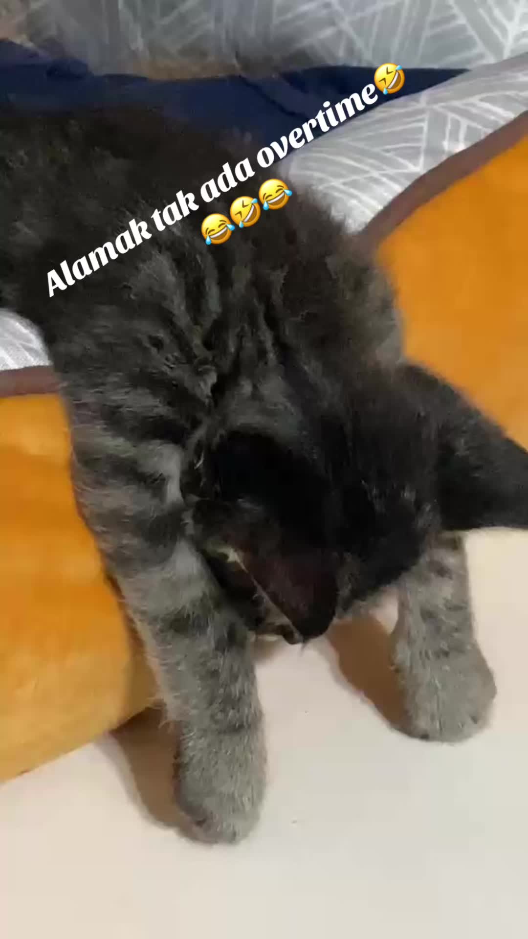 @JayadevanRama