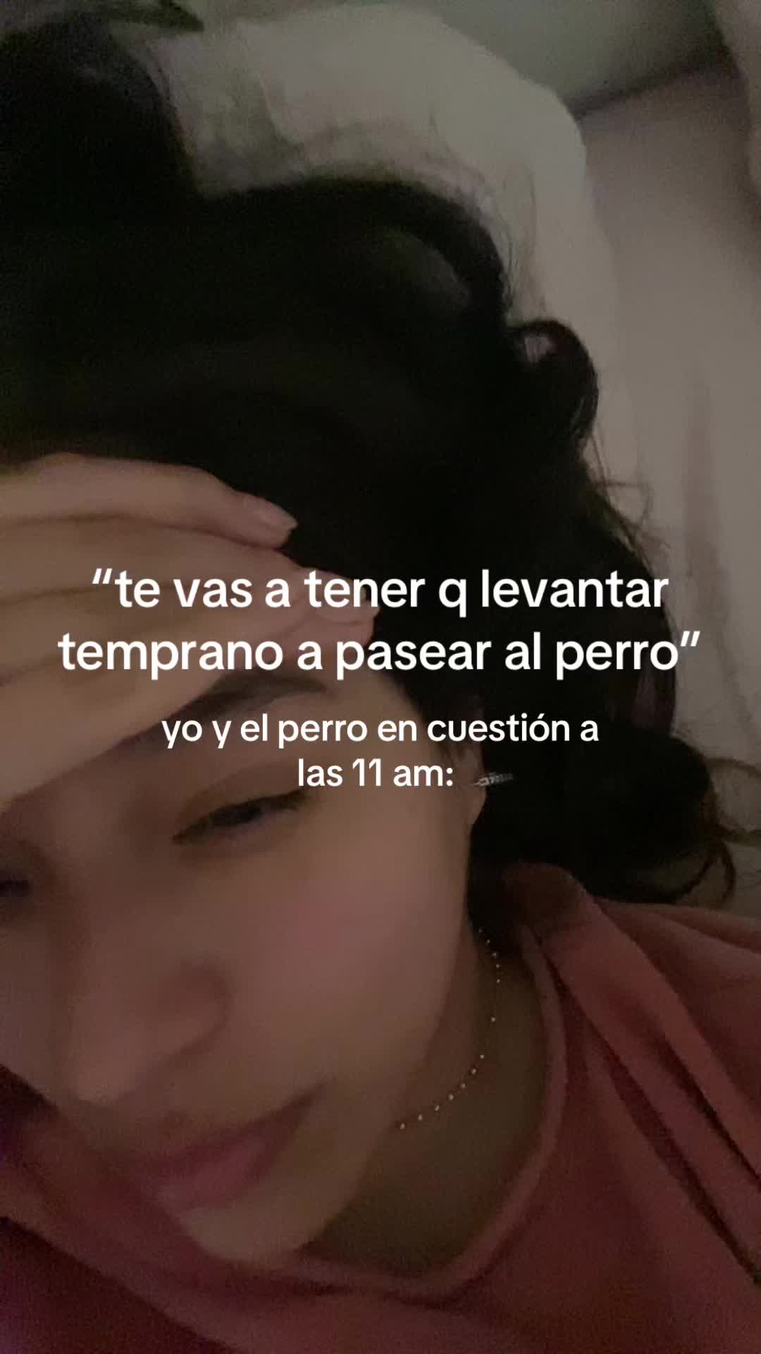 @chavaavlogs