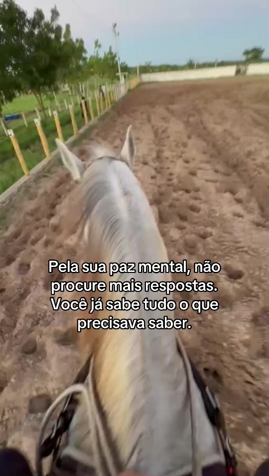 @Marcos Gomes 🇧🇷