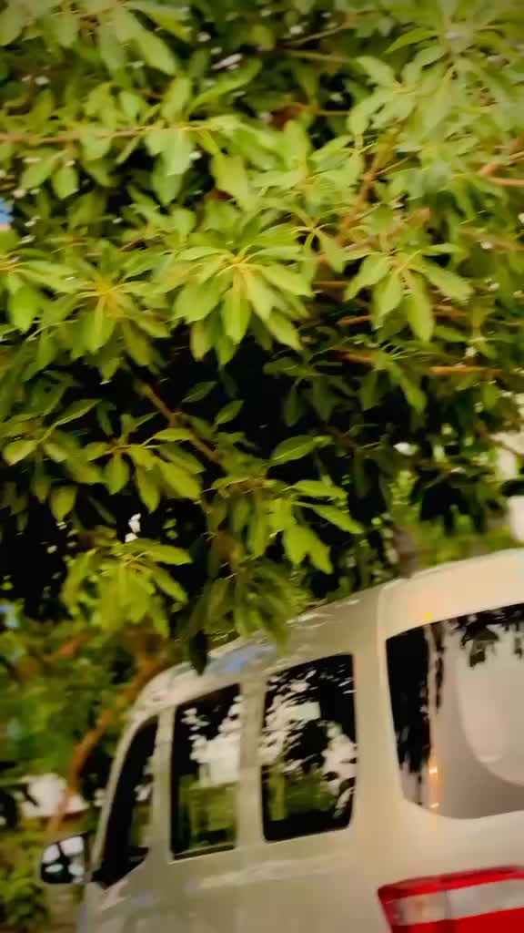 @سفیان گجر چھتے آلہ 🥂🖤