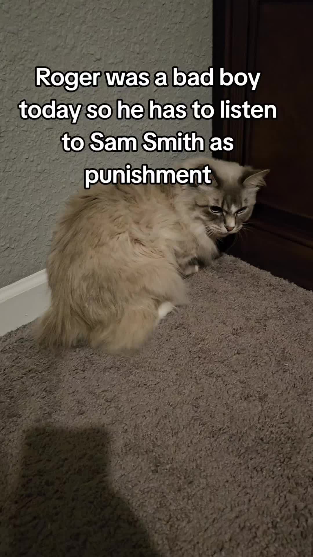 @rogerbiscuits