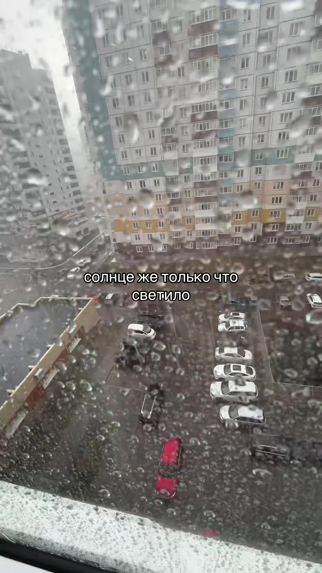 @Лизааа