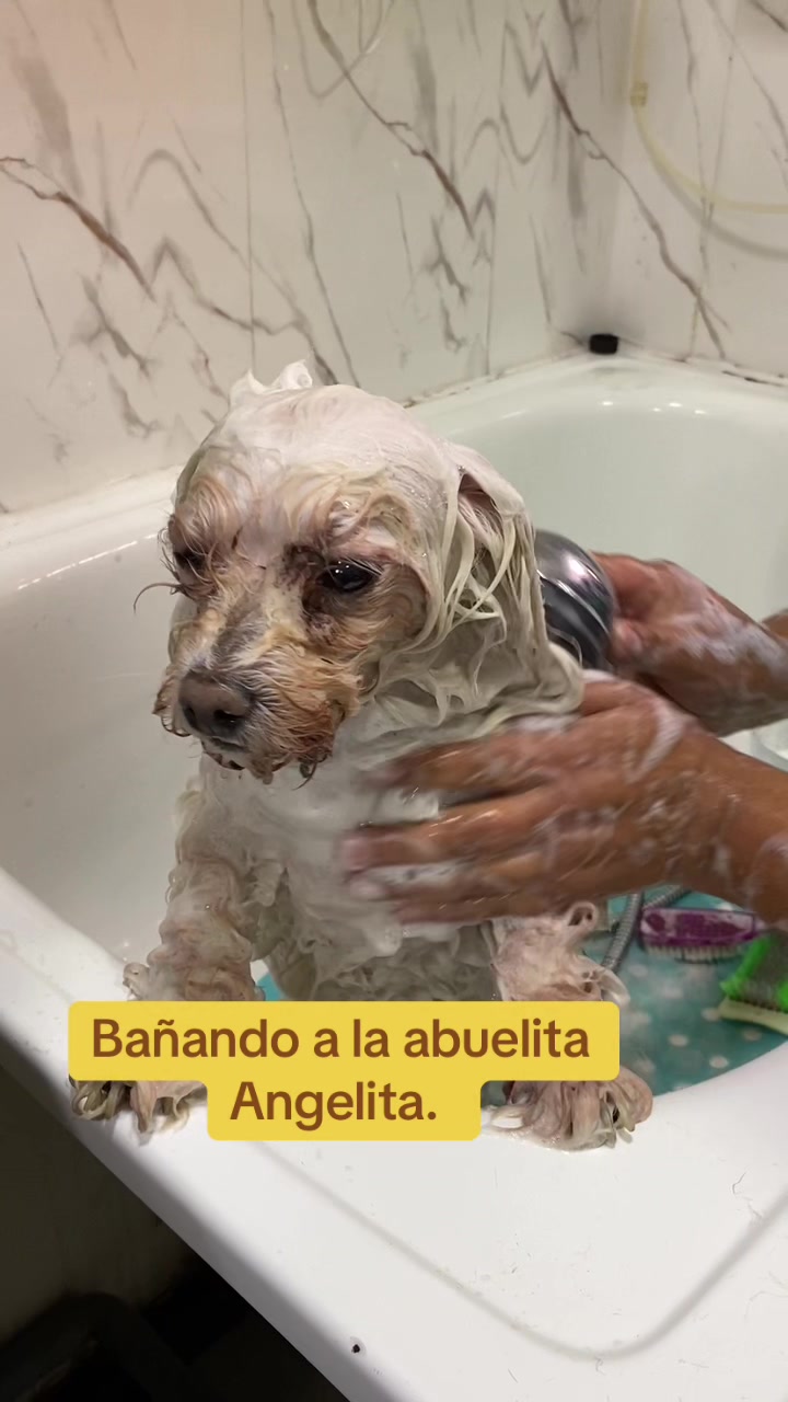 @Gran.kniche🐶