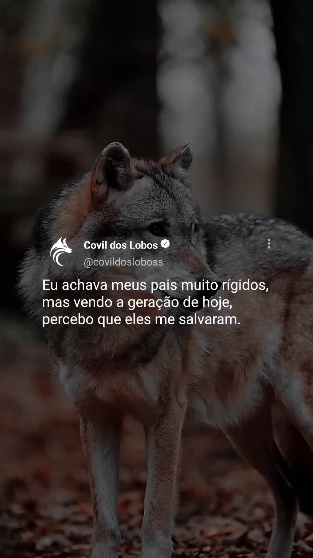 @Covil Dos Lobos