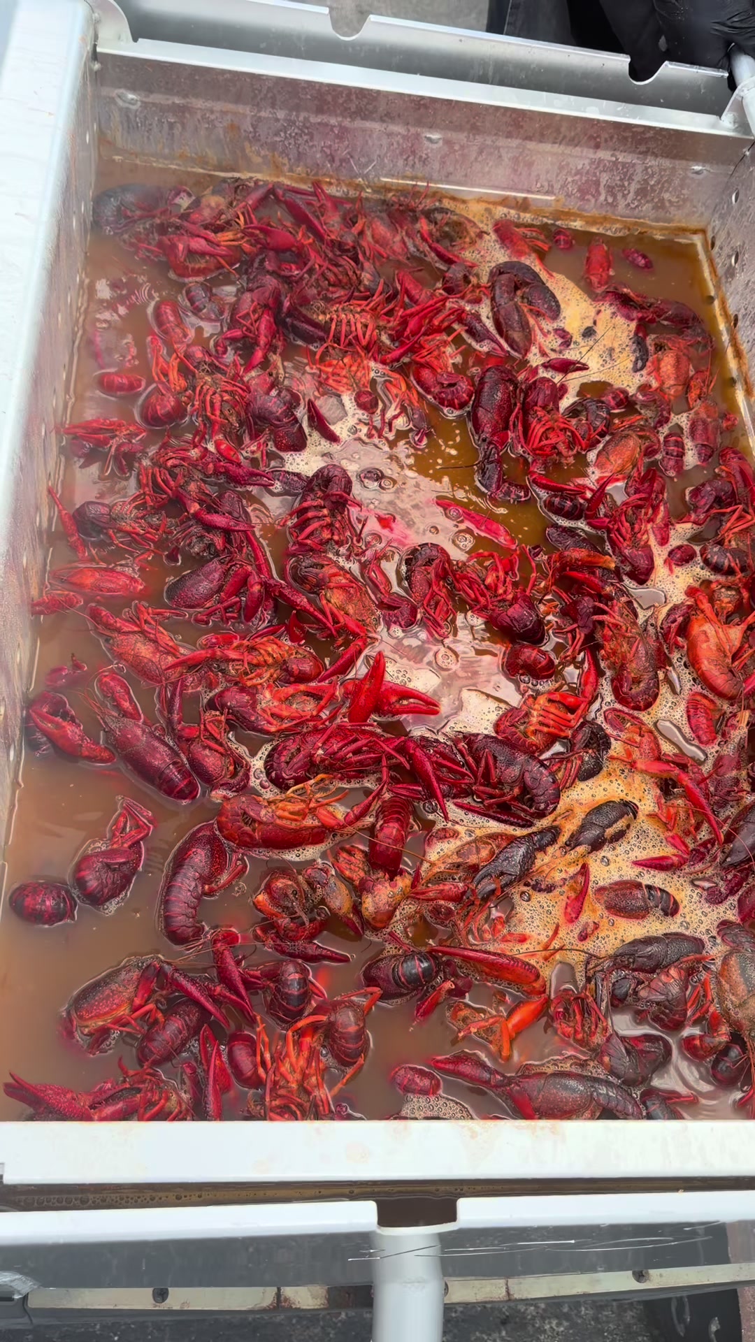 @cajuncrackcrawfish
