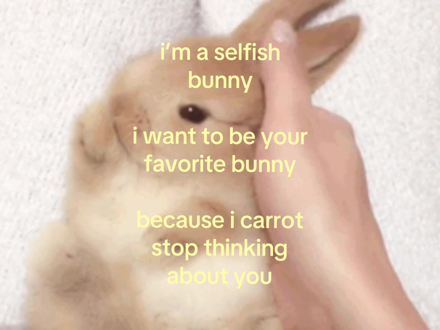 @❀