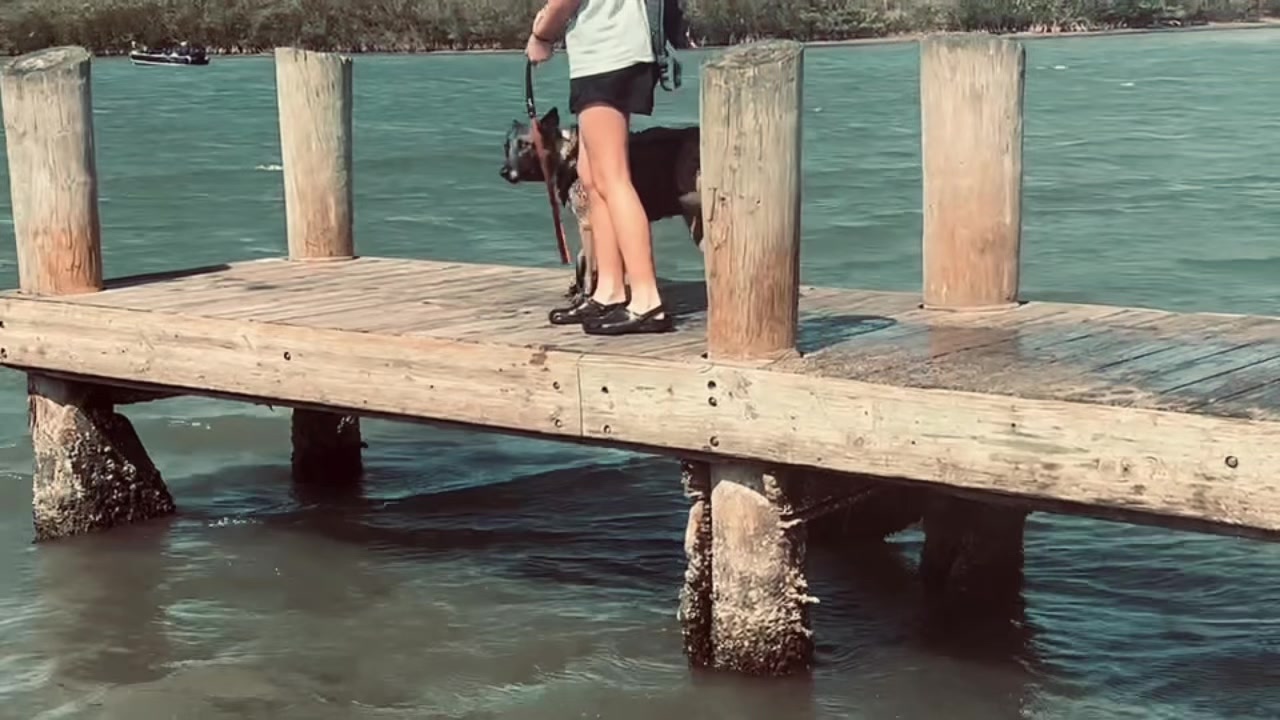 @K9.corporal