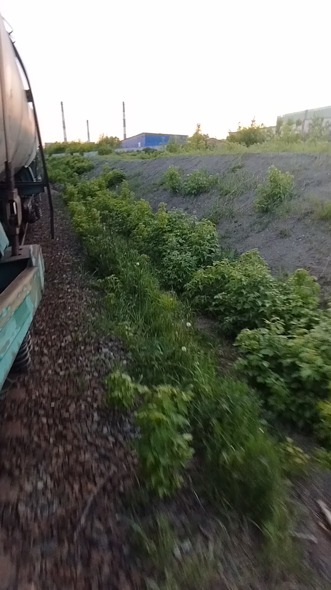 @shilux1🚄spott