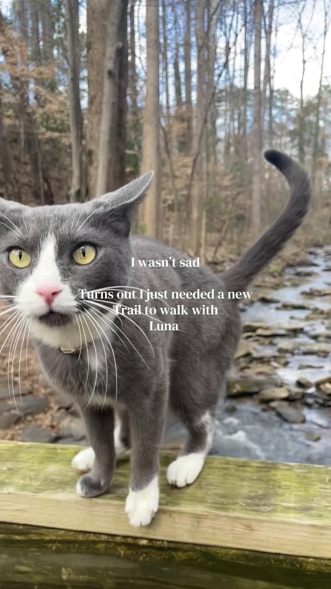 @LunaPuhtuna
