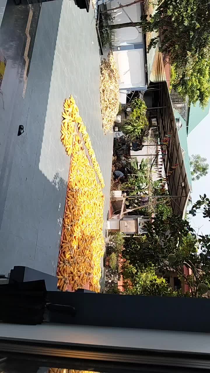 @trai qu&ecirc; đất tổ 19@.&hellip;.