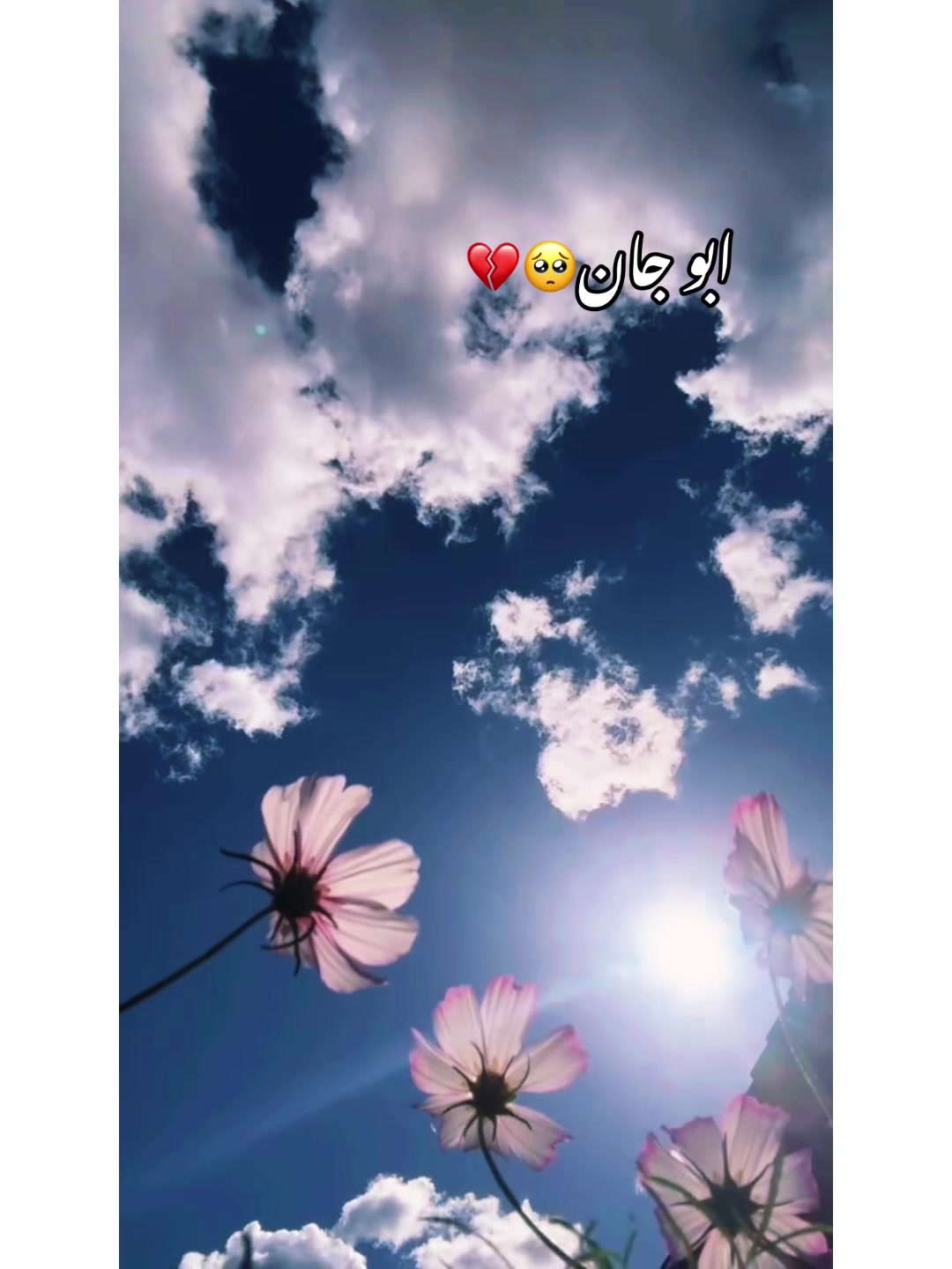 @⚜️𝐊𝐇𝐎𝐊𝐇𝐀𝐑❤️🩹