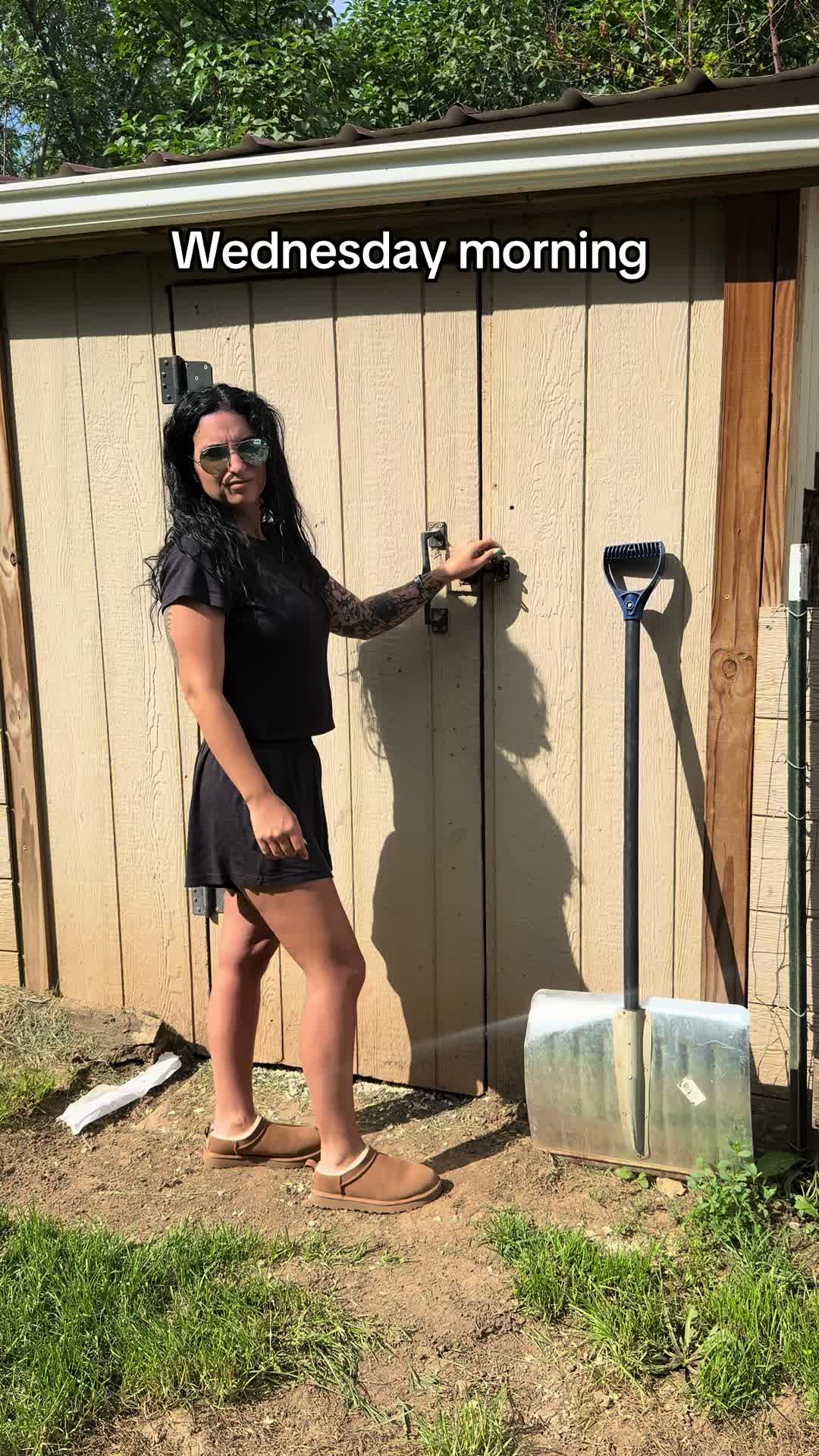 @Shannon Elizabeth