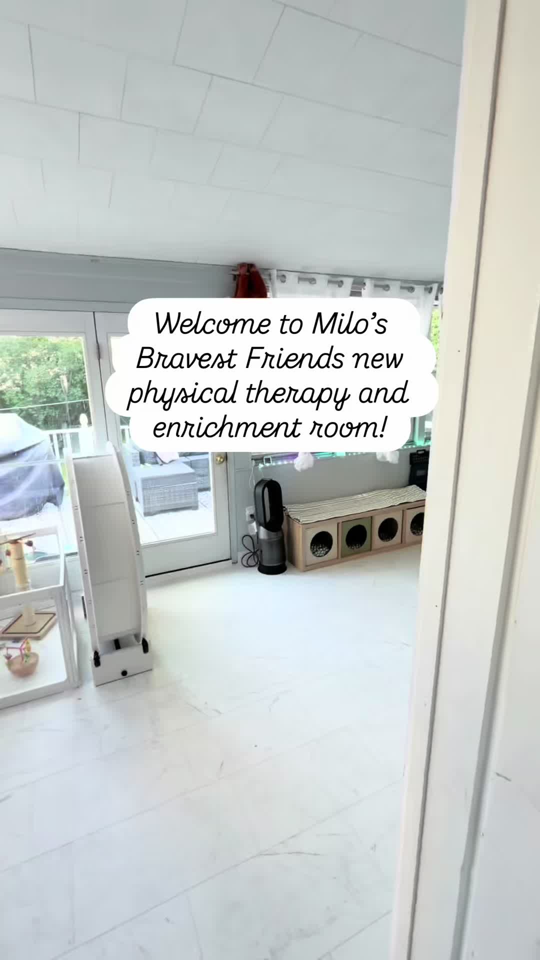 @Milo The Bravest