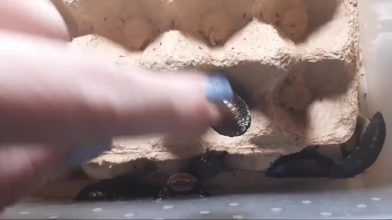 @Катя