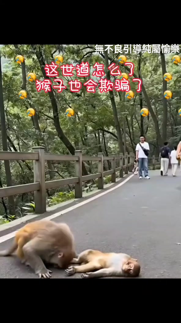 @情深深雨濛濛
