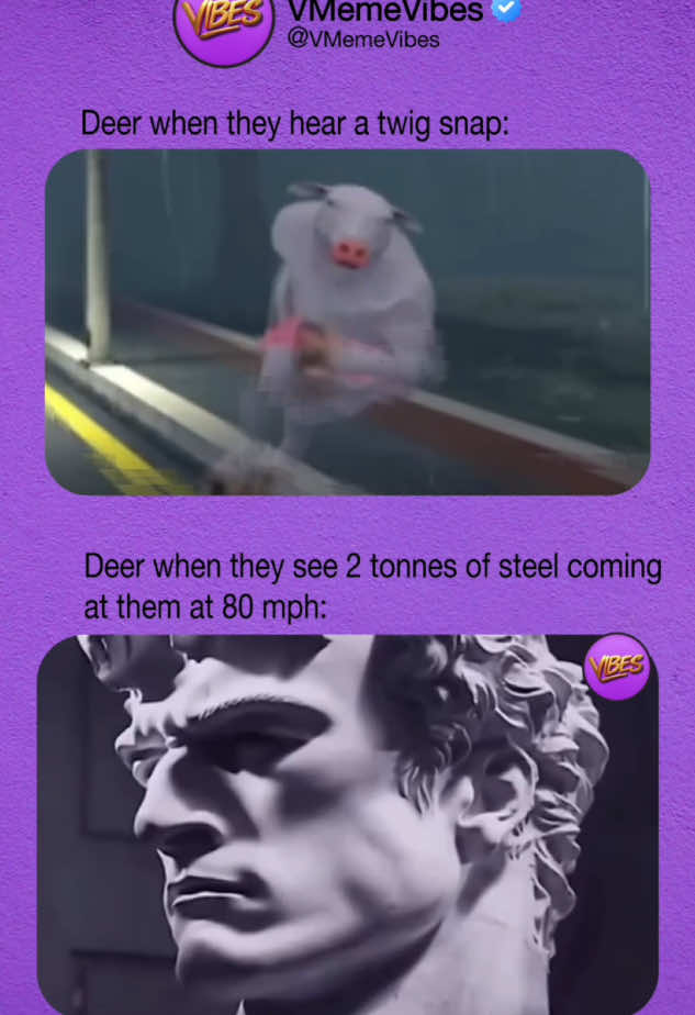 @VMemeVibes